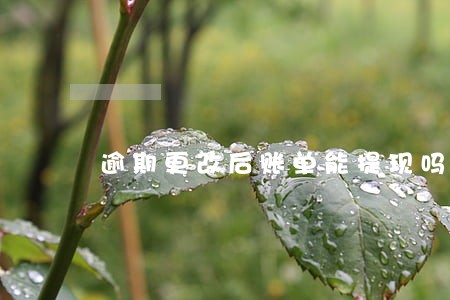 逾期更改后账单能提现吗 逾期更改后账单能提现吗
