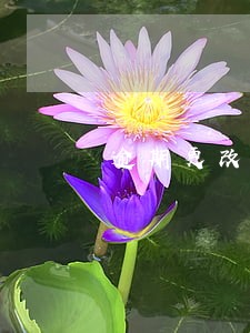 逾期更改联系方式 逾期更改联系方式