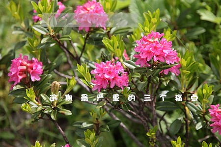 逾期最严重的三个痛点 逾期最严重的三个痛点