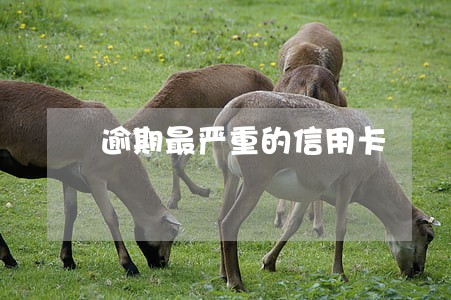 逾期最严重的信用卡