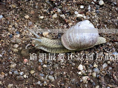 逾期最低还款图片截图 逾期最低还款图片截图
