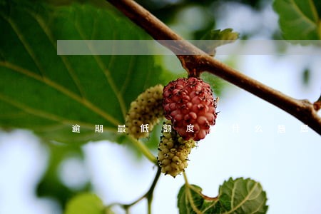 逾期最低额度是什么意思 逾期最低额度是什么意思