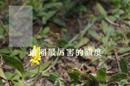 逾期最厉害的额度 逾期最厉害的额度