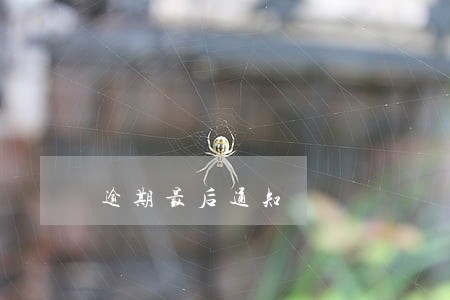 逾期最后通知 逾期最后通知