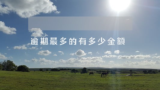 逾期最多的有多少金额 逾期最多的有多少金额