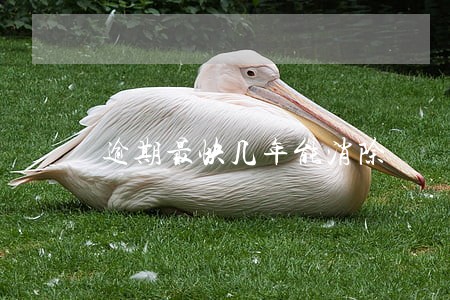 逾期最快几年能消除 逾期最快几年能消除