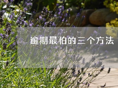 逾期最怕的三个方法 逾期最怕的三个方法