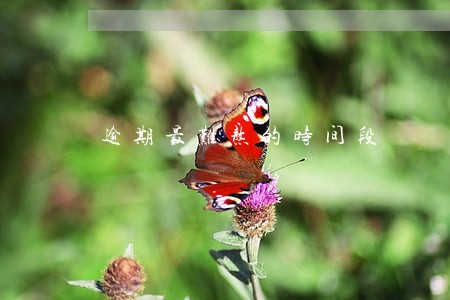 逾期最难熬的时间段 逾期最难熬的时间段