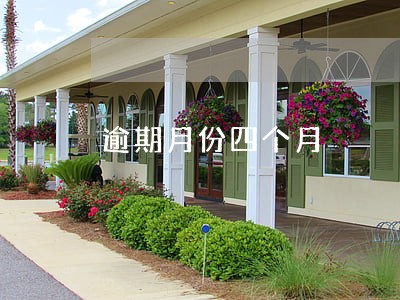 逾期月份四个月 逾期月份四个月