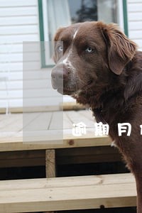 逾期月份多少不能贷款