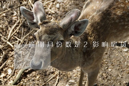 逾期月份数是2影响房贷吗 逾期月份数是2影响房贷吗
