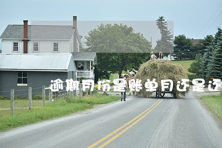 逾期月份是账单月还是还款月 逾期月份是账单月还是还款月
