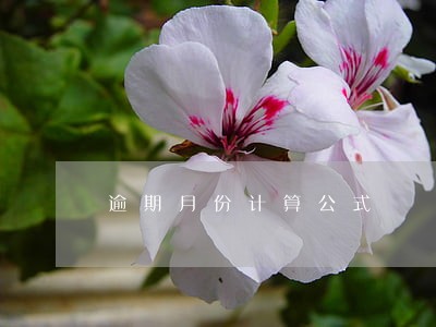 逾期月份计算公式 逾期月份计算公式
