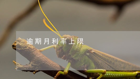 逾期月利率上限 逾期月利率上限