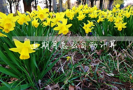 逾期月怎么自动计算 逾期月怎么自动计算