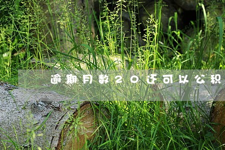 逾期月数20还可以公积金贷款嘛 逾期月数20还可以公积金贷款嘛