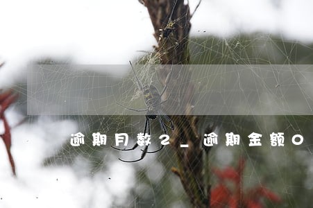 逾期月数2_逾期金额0 逾期月数2_逾期金额0