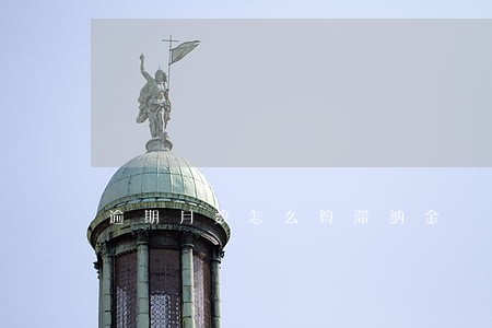 逾期月数怎么算滞纳金 逾期月数怎么算滞纳金
