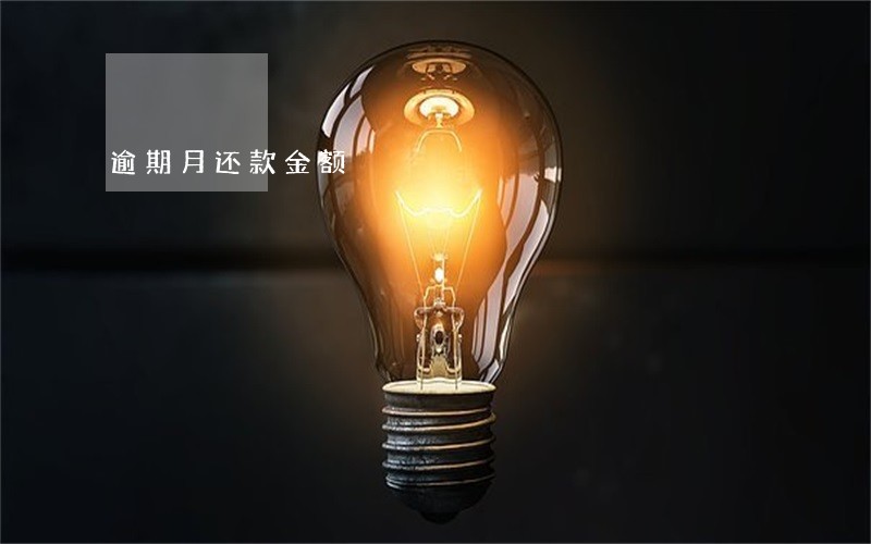 逾期月还款金额 逾期月还款金额