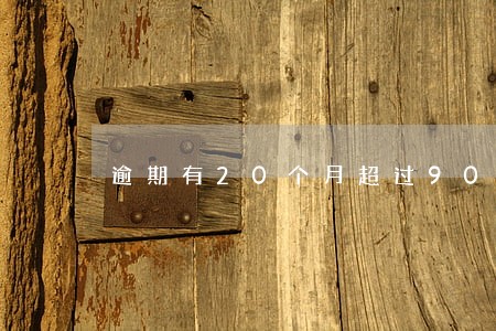 逾期有20个月超过90天