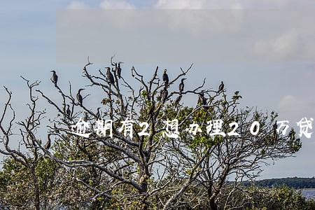 逾期有2想办理20万贷款 逾期有2想办理20万贷款