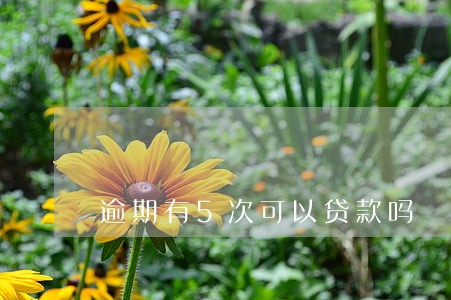 逾期有5次可以贷款吗 逾期有5次可以贷款吗