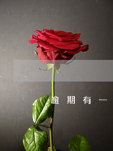 逾期有一条记录可以消除吗 逾期有一条记录可以消除吗