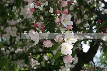 逾期有不上门的吗