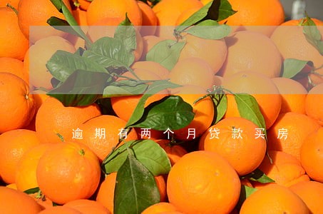 逾期有两个月贷款买房 逾期有两个月贷款买房