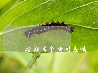 逾期有个时间表吗