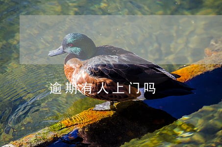 逾期有人上门吗 逾期有人上门吗