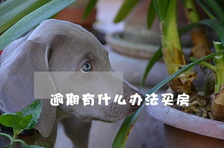 逾期有什么办法买房 逾期有什么办法买房