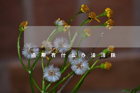 逾期有什么办法消除 逾期有什么办法消除