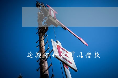 逾期有什么可以借款