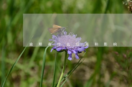 逾期有什么后果和影响 逾期有什么后果和影响