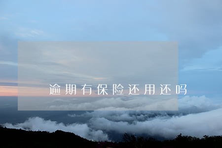 逾期有保险还用还吗 逾期有保险还用还吗