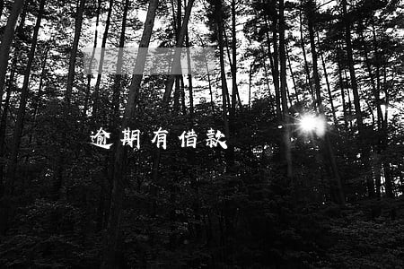 逾期有借款 逾期有借款