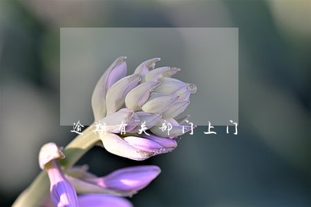 逾期有关部门上门 逾期有关部门上门