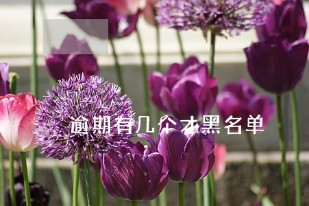 逾期有几个才黑名单 逾期有几个才黑名单