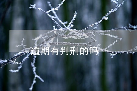 逾期有判刑的吗 逾期有判刑的吗
