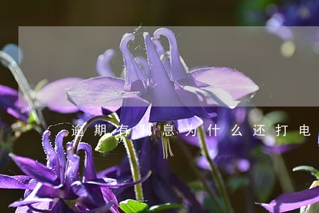 逾期有利息为什么还打电话催呢 逾期有利息为什么还打电话催呢