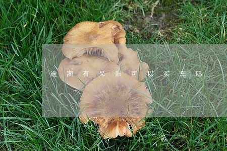 逾期有呆账可以买车吗 逾期有呆账可以买车吗
