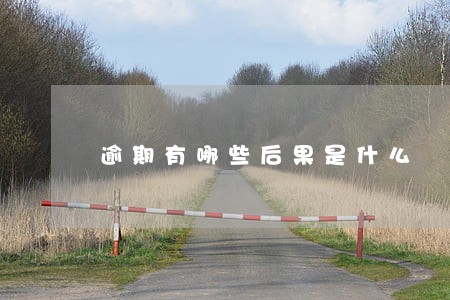 逾期有哪些后果是什么 逾期有哪些后果是什么