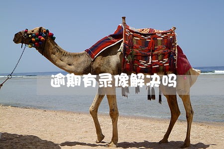逾期有录像解决吗