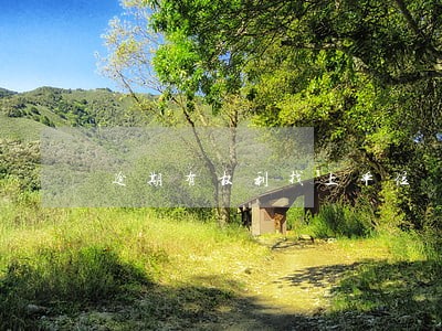 逾期有权利找上单位