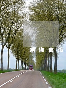 逾期有没平台没有借钱