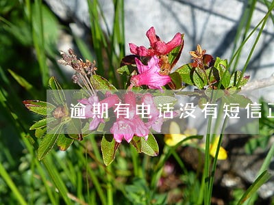 逾期有电话没有短信正常吗 逾期有电话没有短信正常吗
