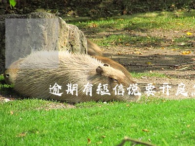 逾期有短信说要开庭怎么办 逾期有短信说要开庭怎么办
