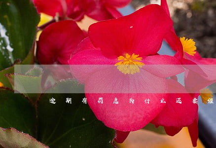 逾期有罚息为什么还要催 逾期有罚息为什么还要催