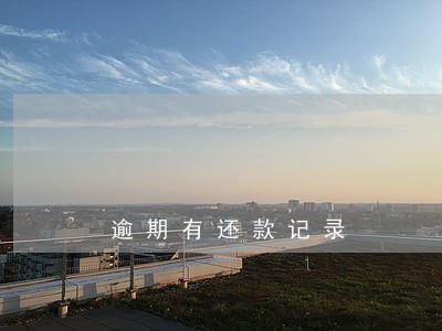 逾期有还款记录 逾期有还款记录